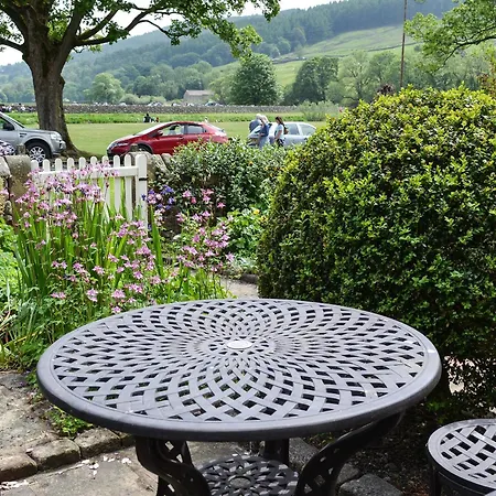 Semesterbostad Clematis *